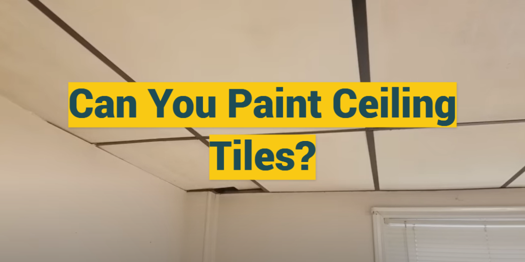 Can You Paint Ceiling Tiles ProfyPainter